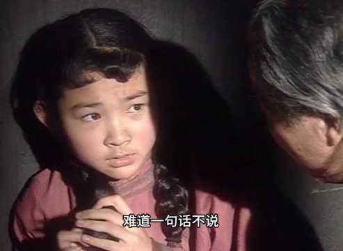 蔡鄂与小凤仙全集在线观看,传奇人生全景再现