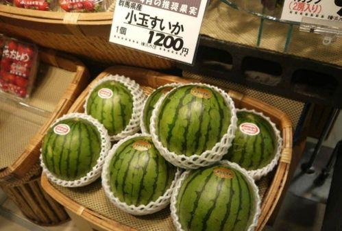 日本的西瓜多少钱,品质之选，价格几何？