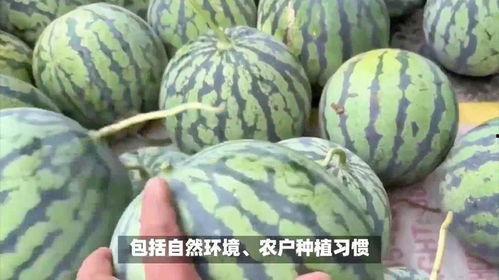 日本的西瓜多少钱,品质之选，价格几何？