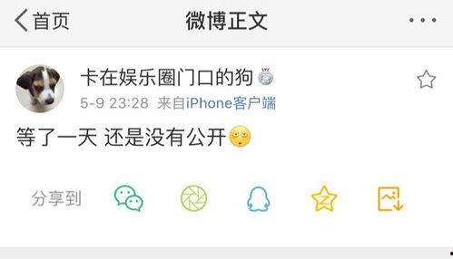 吃瓜大王的爆料,娱乐圈惊天大秘密大揭秘！