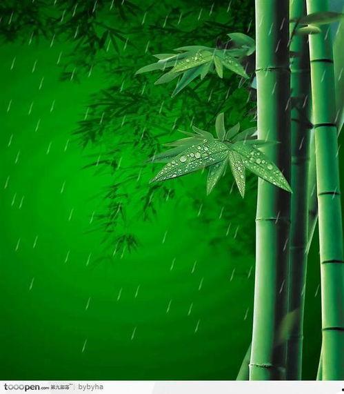 雨中竹林图片大全,诗意盎然的自然画卷