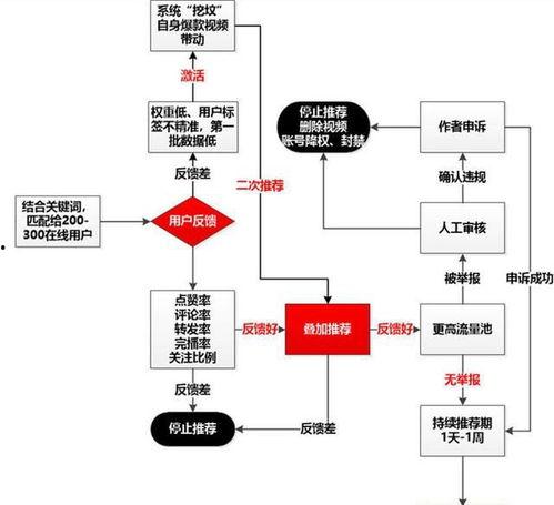 生态板生产流程视频,从原材料到成品的一站式观察