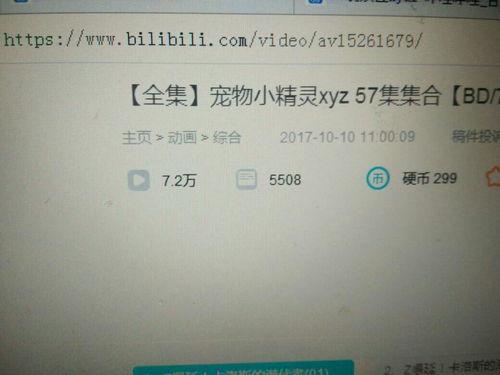 神奇宝贝xyz国语版,时空的裂缝与命运之轮