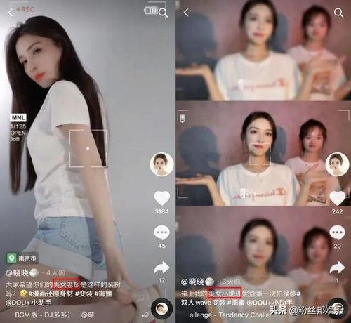 晓晓视频,揭秘生活点滴，畅享视觉盛宴