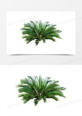 迎春树图片大全大图,春意盎然全景赏析
