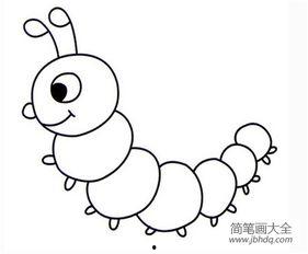 毛毛虫简笔画图片大全,可爱虫虫的蜕变之旅